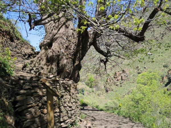 Precioso Apartamento Cerca De Sierra Nevada غويخار سييرا المظهر الخارجي الصورة
